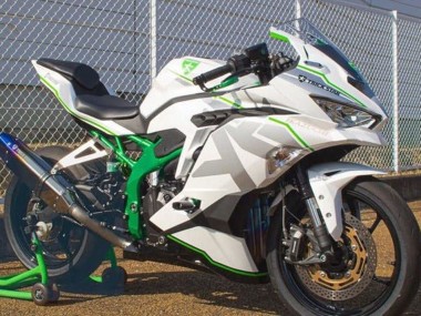 Acheter Carénages Moto Kawasaki ZX4R ZX-4RR 2019-2025 - Blanc Argent Vert