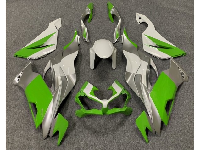 Vert Brillant Blanc & Argent 19-23 ZX6R Carénage Moto Vert Brillant Blanc & Argent 19-23 ZX6R Carénage Moto