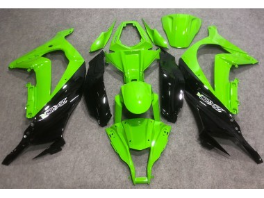 Vert Vif & Vert R 16-19 ZX10R Carénage Moto